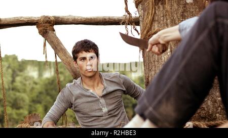 Il Maze Runner Anno : 2014 USA Direttore : Wes sfera Dylan O'Brien Foto Stock