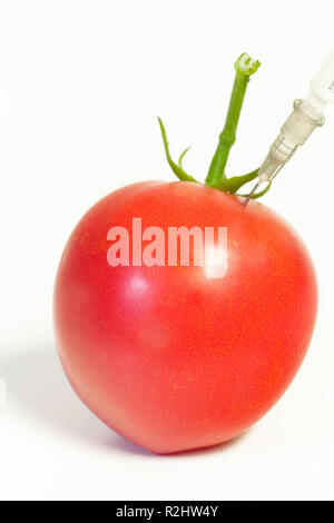 Gen-tomate Foto Stock