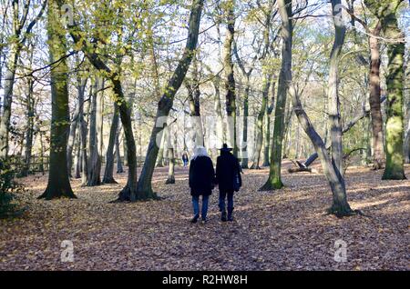 Una coppia di goth passeggiata attraverso la storica highgate legno Londra nord N10 INGHILTERRA Foto Stock