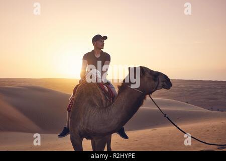 A dorso di cammello nel deserto al tramonto da favola. Giovane uomo godendo di viaggio sulle dune di sabbia. Wahiba Sands nel Sultanato di Oman Foto Stock