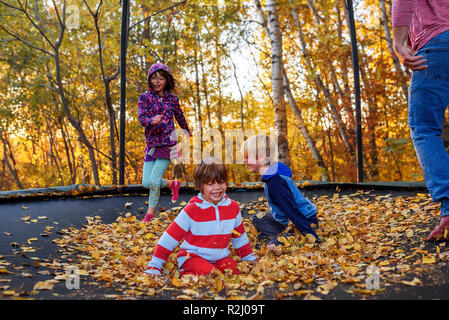 Tre figli e il loro padre giocando su un trampolino coperto di foglie di autunno, Stati Uniti Foto Stock