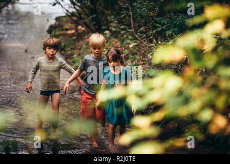 Tre bambini a camminare in un creek, Stati Uniti Foto Stock