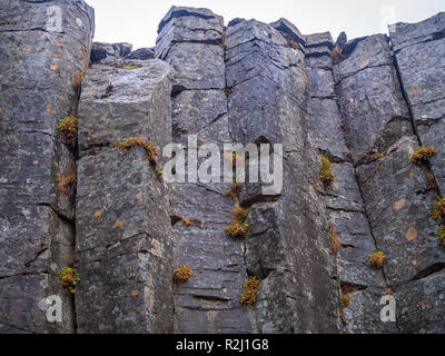 Gerduberg colonne di basalto, Islanda Foto Stock