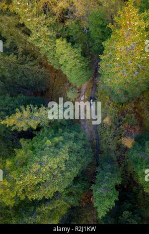 Vista aerea di una donna in mountain bike nelle alpi austriache, Gastein, Salisburgo, Austria Foto Stock