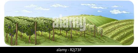 Colorfull vine plantation colline, alberi, nubi all'orizzonte illustrazione vettoriale Illustrazione Vettoriale