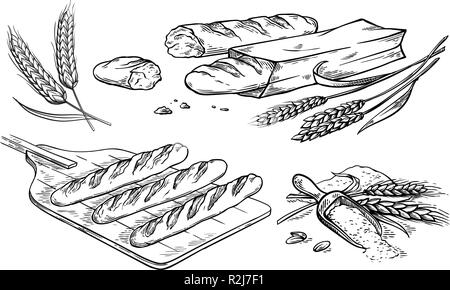 Raccolta di elementi naturali della farina e del pane schizzo illustrazione vettoriale Illustrazione Vettoriale