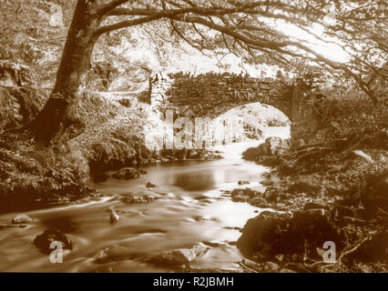 Seppia tonica fotografia presa su un negativo di carta in una macchina fotografica di piatto di 7 x 5 pollici in 2018 di acqua di Weir che scorre sotto Robbers Bridge vicino Oare, Somerset. Foto Stock