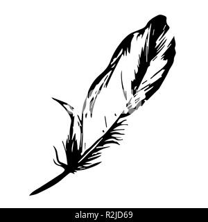 Feather illustrazione vettoriale un colore. uno giù bird vettore silhouette nera. Illustrazione Vettoriale