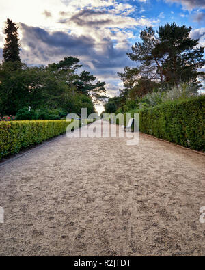 Passeggiata sul lungomare di Zinnowitz sul lungomare. Foto Stock