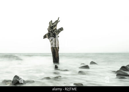 Abstract permanente ad albero capovolto nel surf Foto Stock