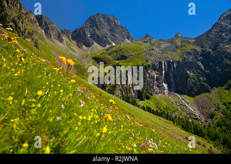 Austria, Tirolo, Alto Inn Valley, Anton Renk cade Foto Stock