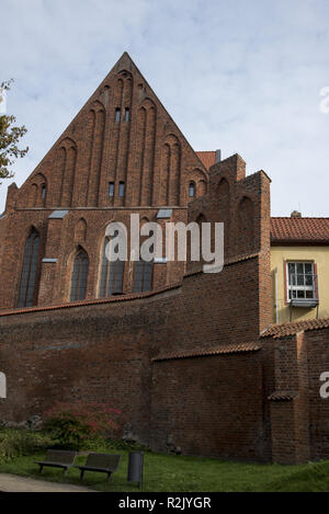 Il tedesco Museo Oceanografico è situato in stile gotico la chiesa di Santa Caterina a Stralsund in Mecklenbug-Vorpommern in Germania. Foto Stock