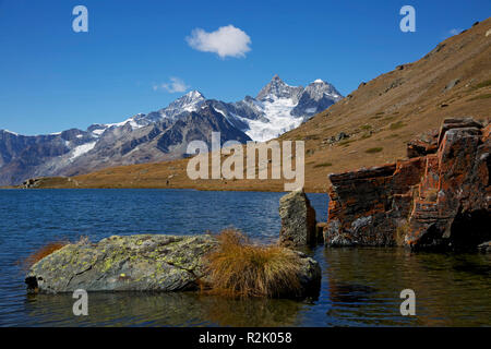 Vista sulla Stellisee in Findelntal vicino a Zermatt su Dent Blanche, Obergabelhorn e Wellenkuppe. Foto Stock