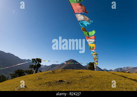 Paesaggio di fronte a Reting monastero con juniper tree forest Foto Stock