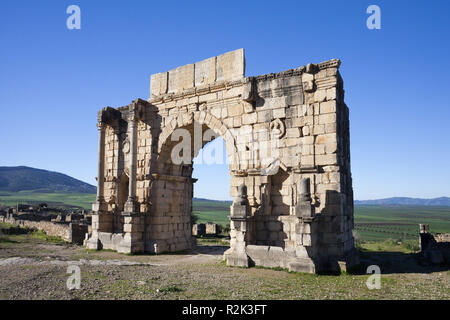 Il Marocco, le rovine Romane di Volubilis, Caracalla arco trionfale, Foto Stock