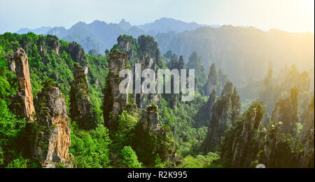 Montagne di Zhangjiajie, Cina Foto Stock