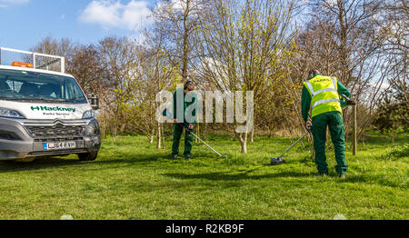 Hackney, Londra, parchi dept utilizzando Makita alimentato da batteria strimmers Foto Stock