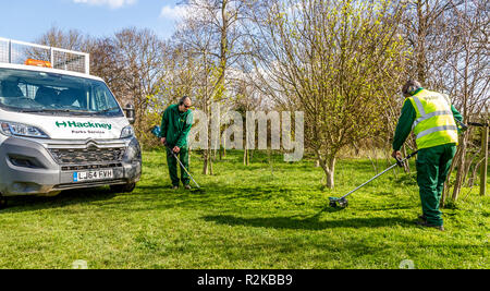 Hackney, Londra, parchi dept utilizzando Makita alimentato da batteria strimmers Foto Stock