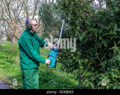 Parchi di Hackney Dept, Londra utilizzando Makita alimentato a batteria tagliasiepi Foto Stock