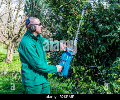 Parchi di Hackney Dept, Londra utilizzando Makita alimentato a batteria tagliasiepi Foto Stock