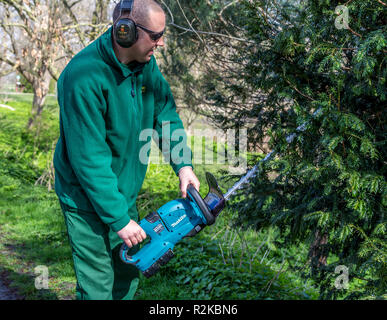 Parchi di Hackney Dept, Londra utilizzando Makita alimentato a batteria tagliasiepi Foto Stock