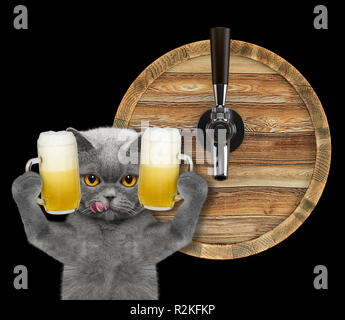 Cute cat con un bicchiere di birra e canna. isolato su nero Foto Stock
