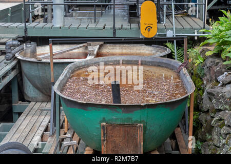 Kealakekua, Hawaii - chicchi di caffè in ammollo Greenwell Fattorie, un grande produttore di caffè Kona. Foto Stock