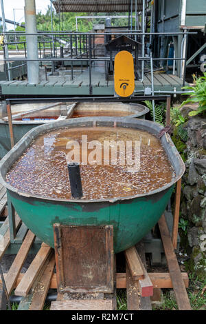 Kealakekua, Hawaii - chicchi di caffè in ammollo Greenwell Fattorie, un grande produttore di caffè Kona. Foto Stock