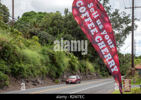 Kealakekua, Hawaii - un banner in autostrada a Greenwell Fattorie, un grande produttore di caffè Kona, sollecita le ciliegie di caffè. Materie i chicchi di caffè sono noti Foto Stock