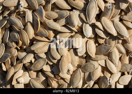 Quantità abbondante di sgranati Semi di zucca nella vista Foto Stock