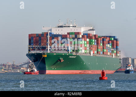 ROTTERDAM, Paesi Bassi - 16 febbraio 2018: Il contenitore grande nave di Teseo è scortato da rimorchiatori al suo arrivo presso il Maasvlakte, porto di Rotterd Foto Stock