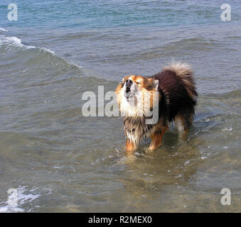 nostalgia Foto Stock