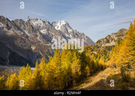 Vista sulla Val Veny autunnale alle Grandes Jorasses (4208m), Courmayeur, Aosta, Valle d'Aosta, Italia Foto Stock