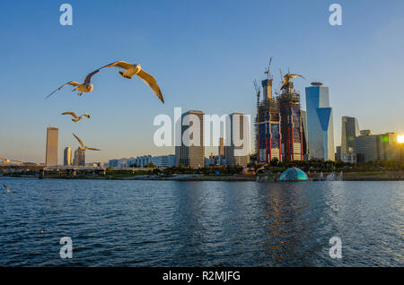 Seaguls volare oltre il Fiume Han a Seul, Corea del Sud in prima serata. In Yeoeido-dong, nuovi grattacieli sono costruiti. Foto Stock