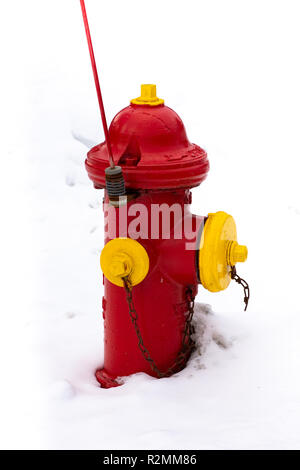 Un rosso e giallo idrante di fuoco nella neve in speculatore, NY USA Foto Stock