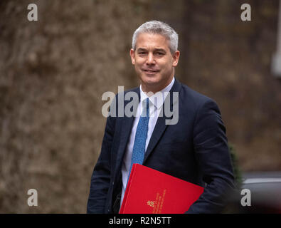 Londra, XX novembre 2018, Stephen Barclay, MP PC, nuovo Segretario Brexit arriva in una riunione del gabinetto a 10 Downing Street, Londra Credit Ian Davidson/Alamy Live News Foto Stock