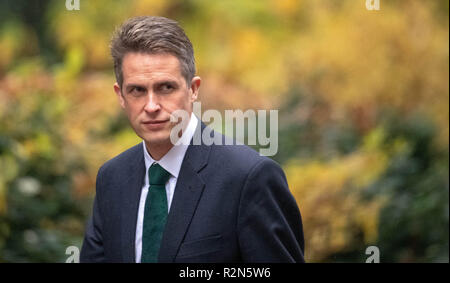 Londra, XX novembre 2018, Gavin Williamson, MP PC, il Segretario della Difesa, arriva in una riunione del gabinetto a 10 Downing Street, Londra Credit Ian Davidson/Alamy Live News Foto Stock