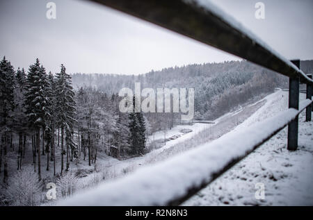 East Westfalia, Germania. Il 20 novembre 2018, Renania settentrionale-Vestfalia, Bad Wünnenberg: La prima neve si trova su alberi presso la diga Aabacht. Foto: Guido Kirchner/dpa Credito: dpa picture alliance/Alamy Live News Foto Stock