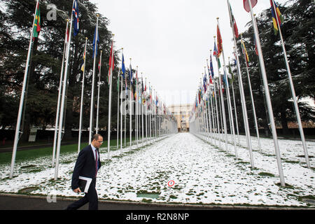 Ginevra, Svizzera. Xx Nov, 2018. Un uomo cammina nel Palais des Nations, sede delle Nazioni Unite a Ginevra, Svizzera, nov. 20, 2018. La città svizzera Ginevra ha testimoniato la prima neve di questo inverno. Credito: Xu Jinquan/Xinhua/Alamy Live News Foto Stock