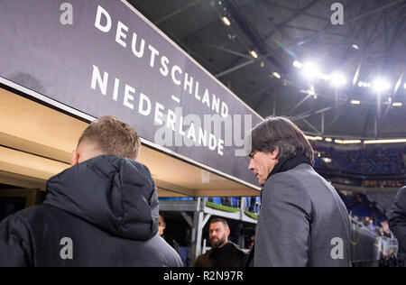 Gelsenkirchen, Deutschland. Xix Nov, 2018. Joachim 'Jogi' LOEW (bassa) (pullman/allenatore federale, GER). Football Match Laender, nazioni League, Germania (GER) - Paesi Bassi (NED), il 19.11.2018 a Gelsenkirchen/Germania. | Utilizzo di credito in tutto il mondo: dpa/Alamy Live News Foto Stock