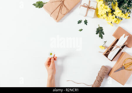 Donna di mano azienda piccola daisy tra festosa laici piana del telaio laterale di doni in marrone eco carta e fiori di colore giallo su sfondo bianco con copia spazio. Foto Stock