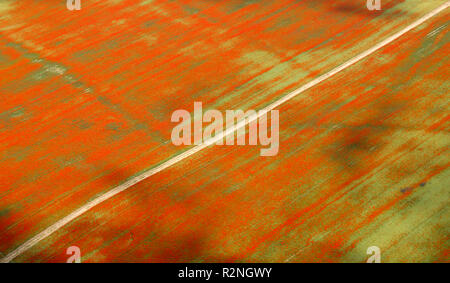 Veduta aerea del campo di papavero, vista aerea, Münchenrodaer Straße, Jena, Turingia, Germania, Europa Foto Stock