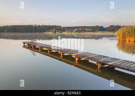 Molo al Pelhamer vedere nel Eggstätter-Hemhofer Seenplatte, Eggstätt, Chiemgau, Alta Baviera, Baviera, Germania meridionale, Germania, Europa Foto Stock