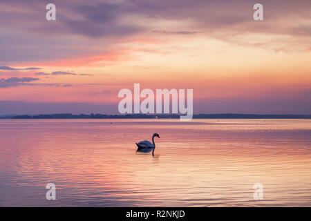 Tramonto sul lago Chiemsee a Übersee, Chiemgau, Alta Baviera, Baviera, Germania meridionale, Germania, Europa Foto Stock