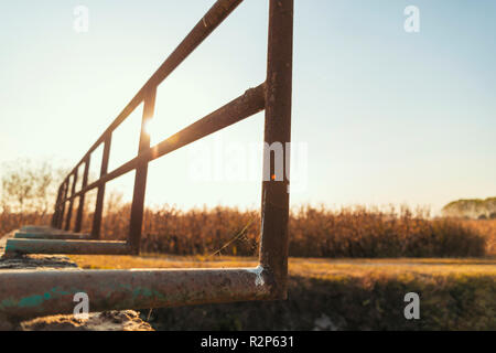 Ponte su un canale di irrigazione della Lomellina al tramonto Foto Stock