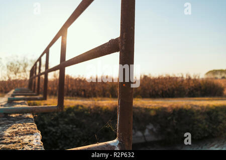 Ponte su un canale di irrigazione della Lomellina al tramonto Foto Stock