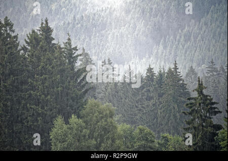 Brumoso paesaggio in Brocken,Harz,Germania.Brocken im Nebel und Regen,Harz. Foto Stock