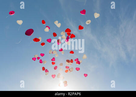 Soaring heart-shaped balloons in bianco, rosso e rosa, parzialmente contre-jour, cielo blu Foto Stock