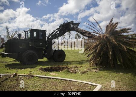 Un Marine con il combattimento il battaglione della logistica 31 si muove un albero caduto utilizzando un carrello elevatore pesante al Veteran's Memorial durante la U.S. Supporto per la difesa delle autorità civili soccorsi su Tinian, Repubblica della Mariana Islands settentrionale, nov. 4, 2018. Le aziende, gli edifici governativi, case e scuole sono state pesantemente danneggiata da Super Typhoon Yutu, che ha fatto un colpo diretto con effetti devastanti su Tinian ott. 25 imballaggio 170 MPH winds - è il secondo più forte tempesta per sempre colpito suolo americano e la più forte tempesta del 2018. Marines con il trentunesimo Marine Expeditionary Unit e CLB-31 sono state portando t Foto Stock