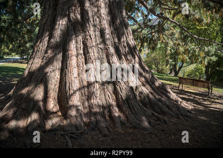 Nuova Zelanda Queenstown Park Foto Stock